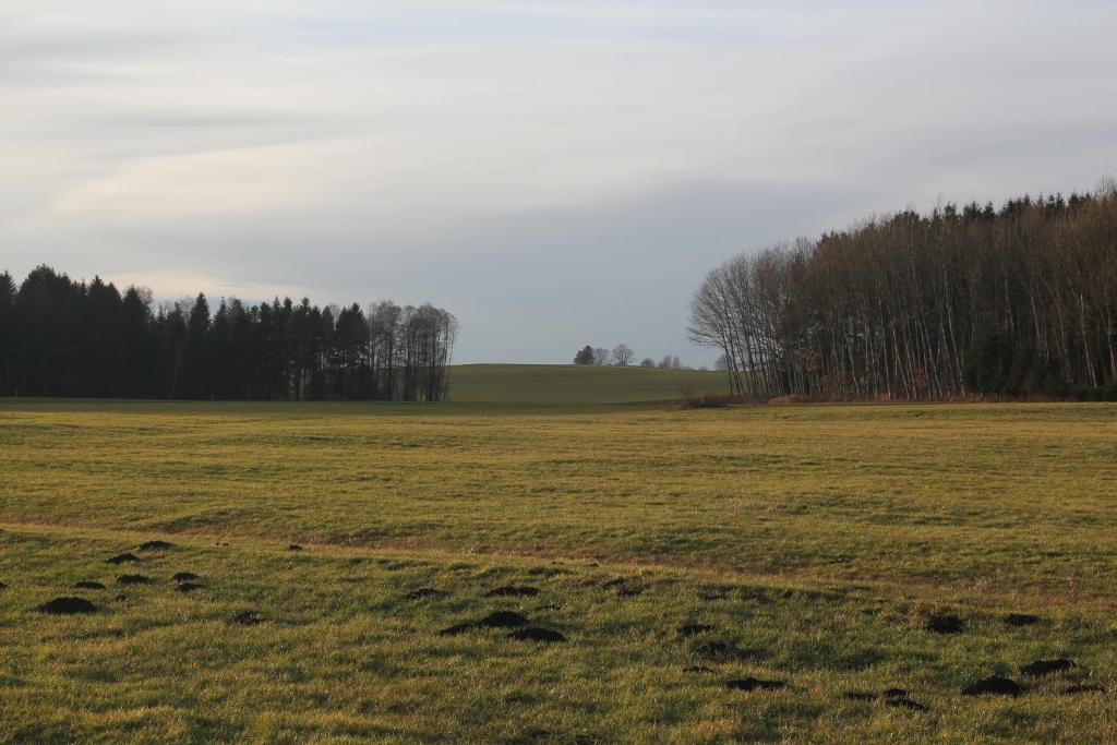 Gasthof Landhotel Hirsch Ostrach المظهر الخارجي الصورة