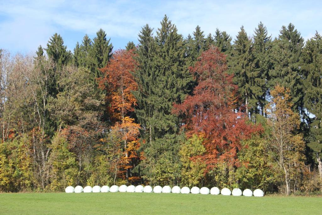 Gasthof Landhotel Hirsch Ostrach المظهر الخارجي الصورة